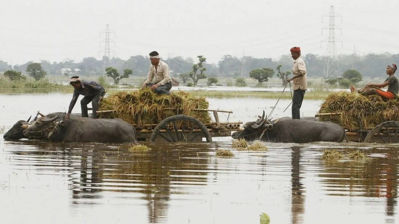 अम्बाला में जलभराव से निपटने के लिए एसडीआरएफ की सक्रियता