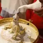 लड्डू गोपाल के अभिषेक की विधि और जल का उपयोग