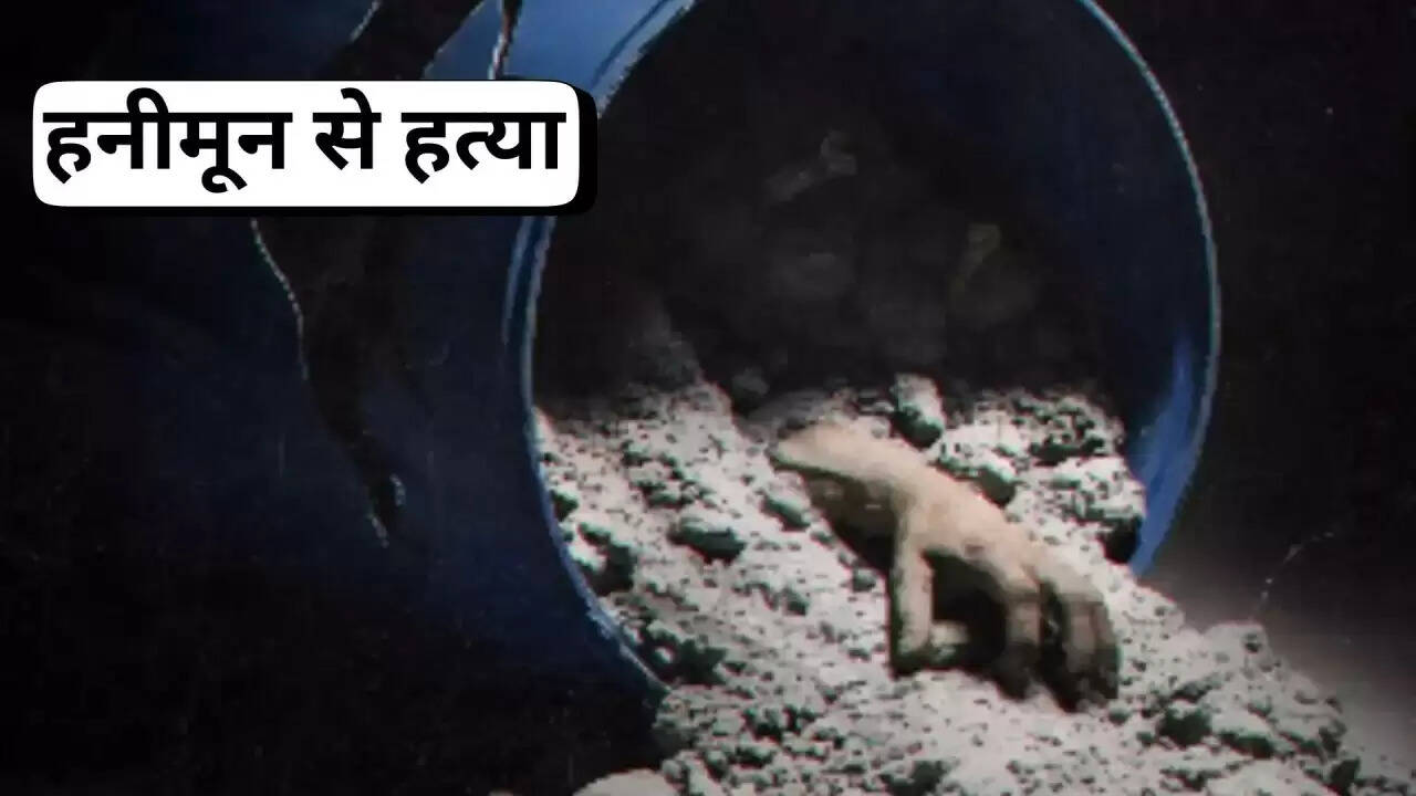 क्या है 'हनीमून से हत्या' डॉक्यूमेंट्री का सच? जानें सौरभ और राजा रधुवंशी के मर्डर केस की कहानी