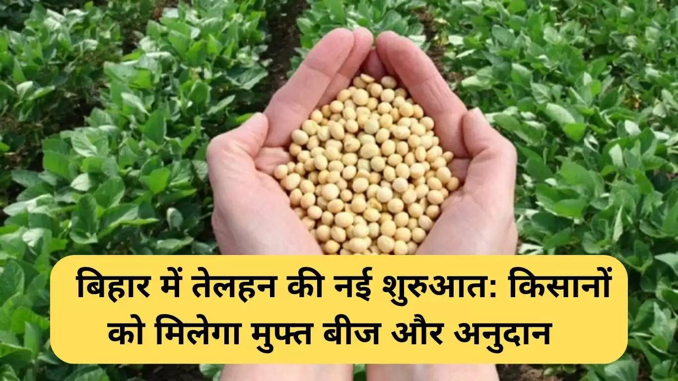 बिहार में सोयाबीन उत्पादन को बढ़ावा: किसानों को मुफ्त बीज और अनुदान