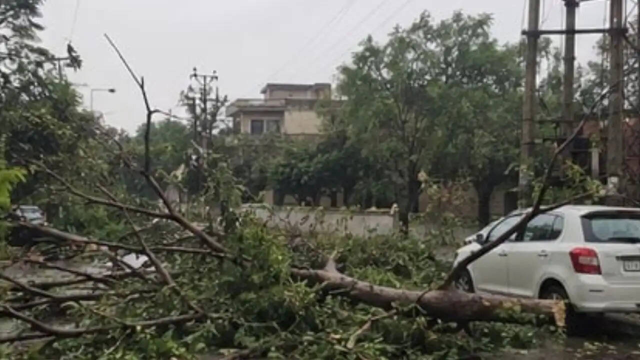 पंजाब में मौसम में अचानक बदलाव, तेज हवाओं और बारिश से बढ़ी मुश्किलें