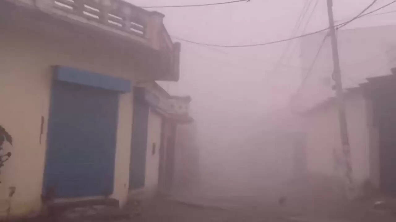 उत्तर भारत में ठंड और कोहरे का कहर, मौसम विभाग ने जारी की चेतावनी