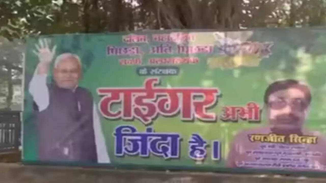 बिहार चुनाव में नीतीश कुमार की स्थिति मजबूत, पोस्टरों से बढ़ा सियासी उत्साह