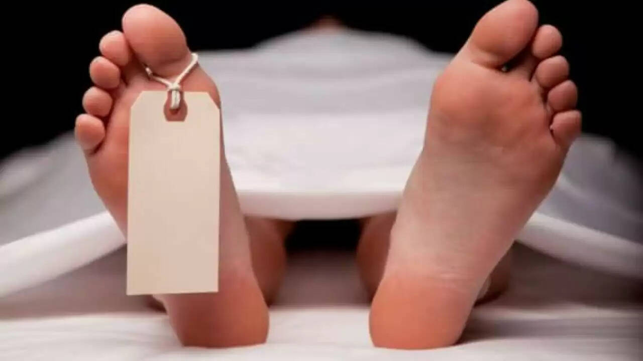 हापुड़ में करवा चौथ से पहले दर्दनाक सड़क हादसा