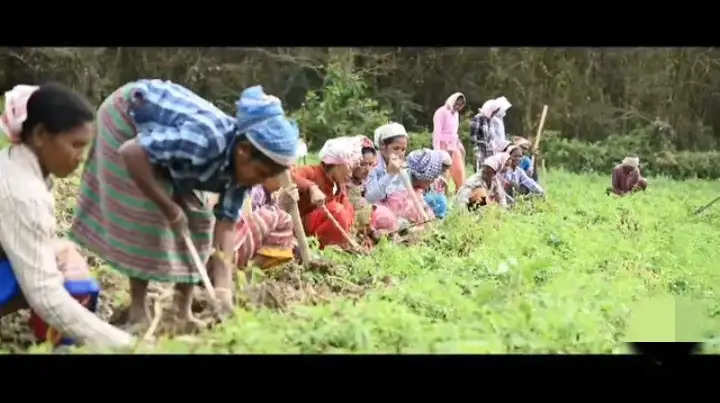 औद्योगिक माहौल को सुदृढ़ कर उद्योगों को प्रोत्साहित करना लक्ष्य: मुख्यमंत्री