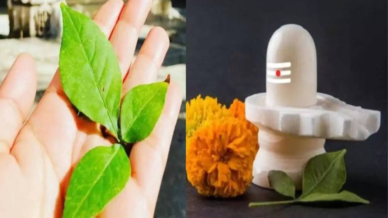 सावन में बेलपत्र चढ़ाने का महत्व और सही विधि