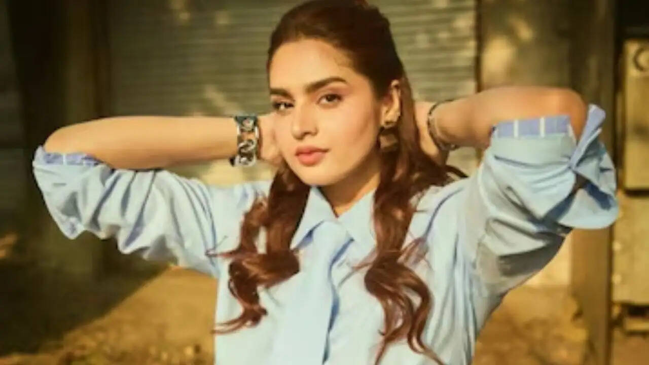 आयशा खान ने बॉडी शेमिंग और ऑनलाइन ट्रोलिंग पर की खुलकर बात