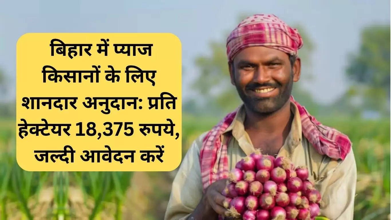 बिहार के प्याज किसानों के लिए अनुदान योजना: प्रति हेक्टेयर 18,375 रुपये की सहायता