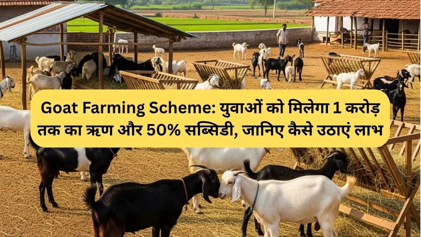 बकरी पालन योजना: युवाओं के लिए 1 करोड़ तक का ऋण और 50% सब्सिडी