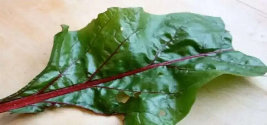 गंजापन दूर करने के लिए प्राकृतिक उपाय: जानें कैसे