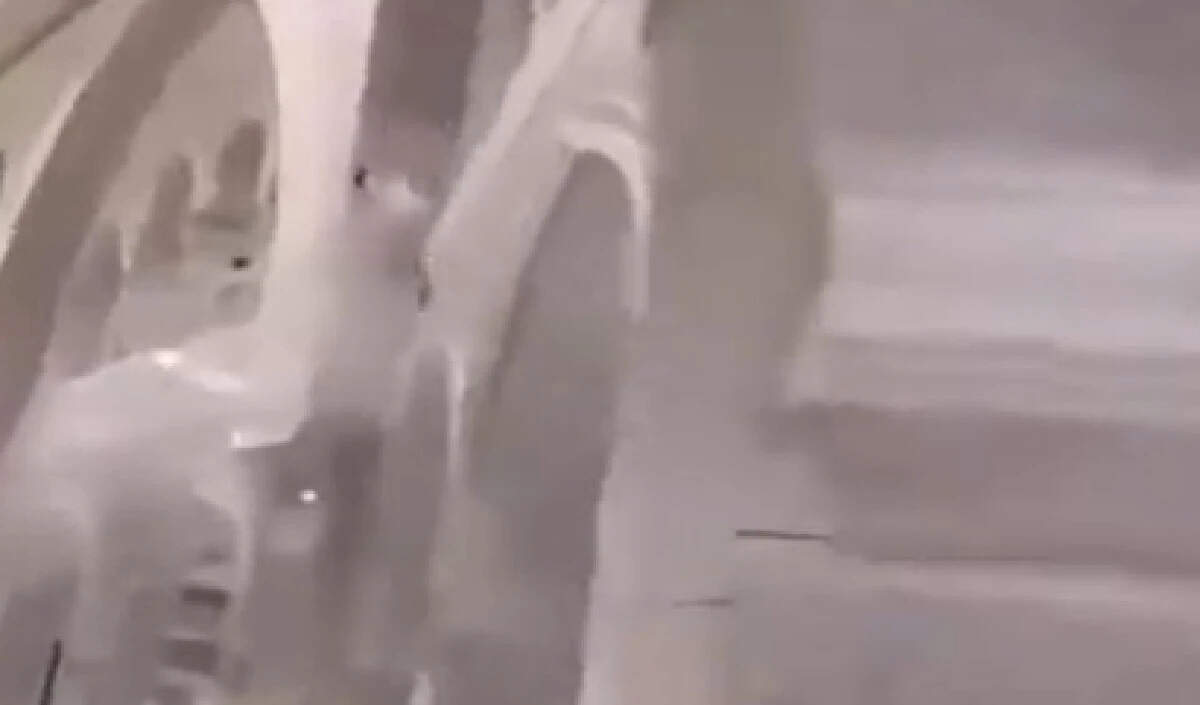 सऊदी अरब: मक्का की ग्रैंड मस्जिद में आत्महत्या का प्रयास, सुरक्षाकर्मी घायल