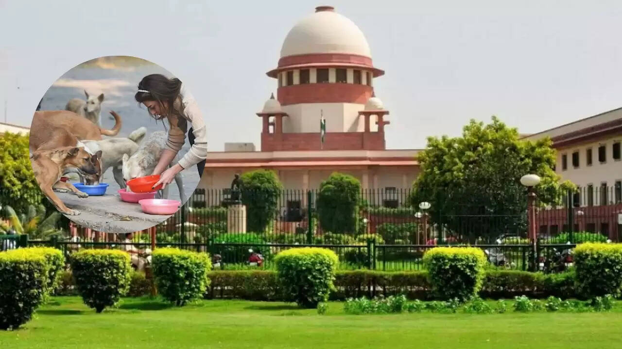 सुप्रीम कोर्ट का आवारा कुत्तों पर नया फैसला: डॉग शेल्टर्स में नहीं, नसबंदी के बाद छोड़ने का आदेश