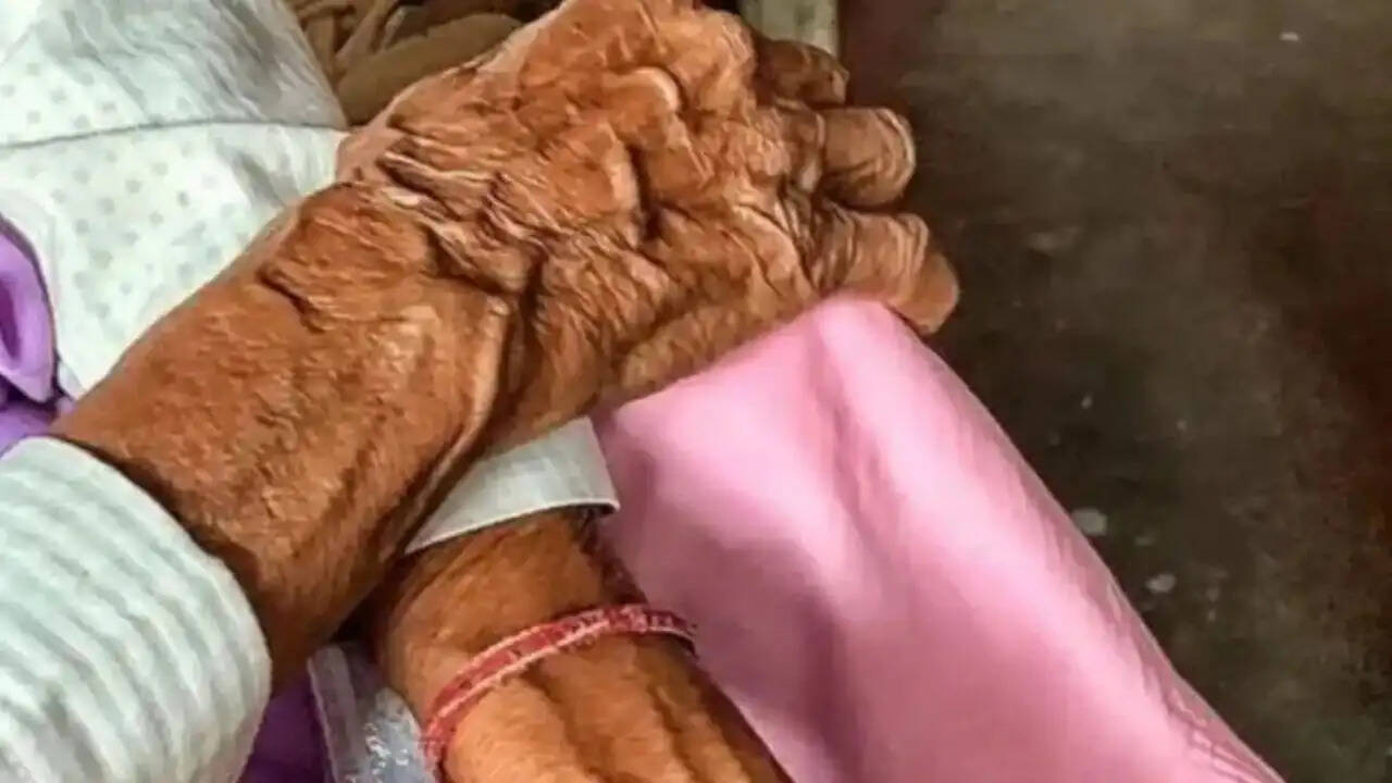 बिहार में 80 वर्षीय महिला के साथ दुष्कर्म के मामले में किशोर को 18 महीने की सजा