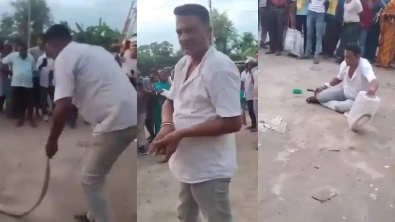 सांप पकड़ने वाले की लापरवाही से हुई दर्दनाक मौत