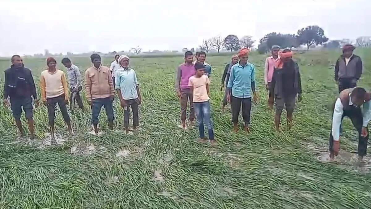 हरियाणा सरकार ने किसानों को मुआवजे का ऐलान किया