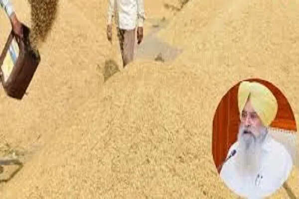 पंजाब मंडी बोर्ड ने धान खरीद के लिए नियंत्रण कक्ष की स्थापना की