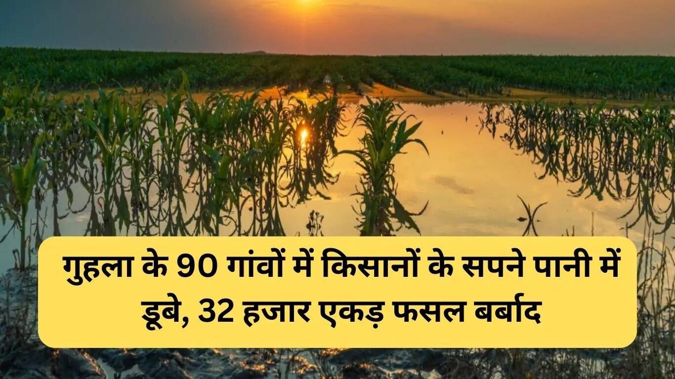 गुहला-चीका में बाढ़ से किसानों को हुआ भारी नुकसान, मुआवजे की मांग