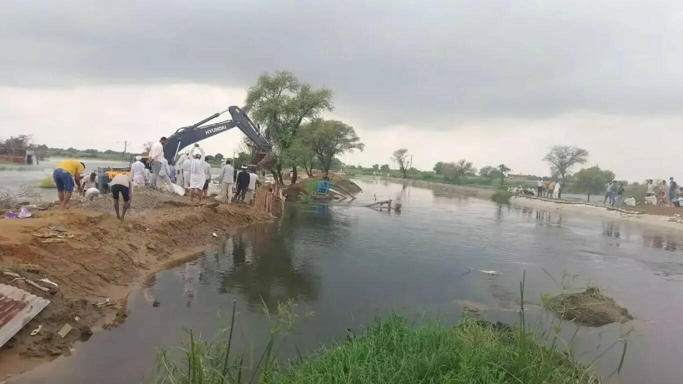 सोनीपत में बाढ़ से फसलों को भारी नुकसान, किसानों की चिंताएं बढ़ीं