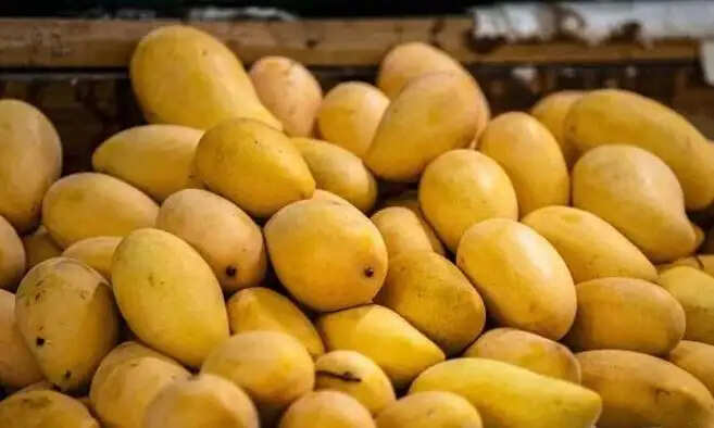 रासायनिक रूप से पकाए गए आमों से स्वास्थ्य पर खतरा