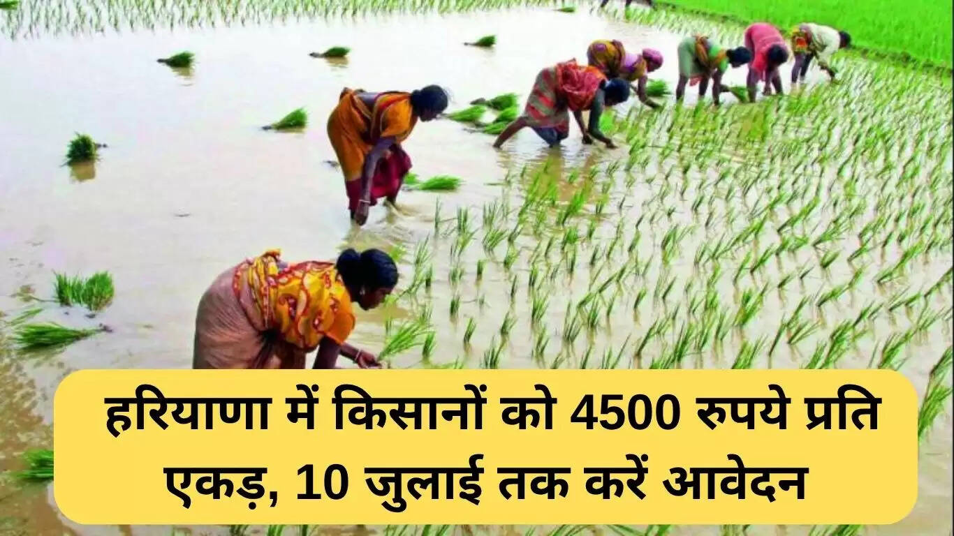 हरियाणा में धान सीधी बिजाई सब्सिडी: किसानों को मिलेगा 4500 रुपये प्रति एकड़