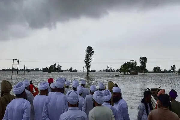 पंजाब के होशियारपुर में बाढ़ से प्रभावित किसानों की नई चुनौतियाँ