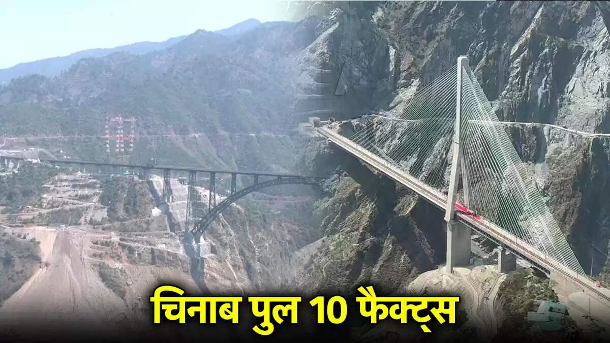 प्रधानमंत्री मोदी ने चिनाब नदी पर बने दुनिया के सबसे ऊंचे पुल का उद्घाटन किया