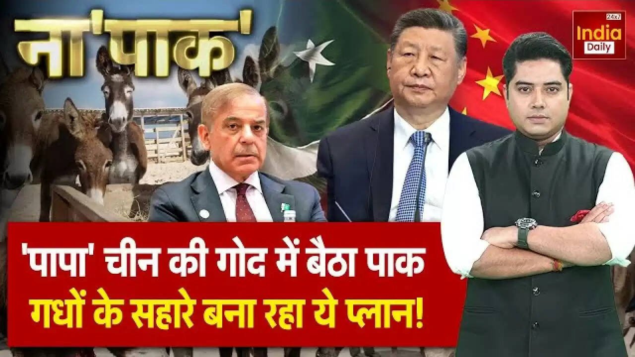 पाकिस्तान की नई योजना: चीन के साथ गधों का निर्यात कर रहा है 'प्लान B'