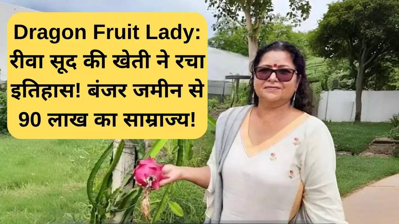 ड्रैगन फ्रूट लेडी: बंजर भूमि से 90 लाख का साम्राज्य बनाने की कहानी