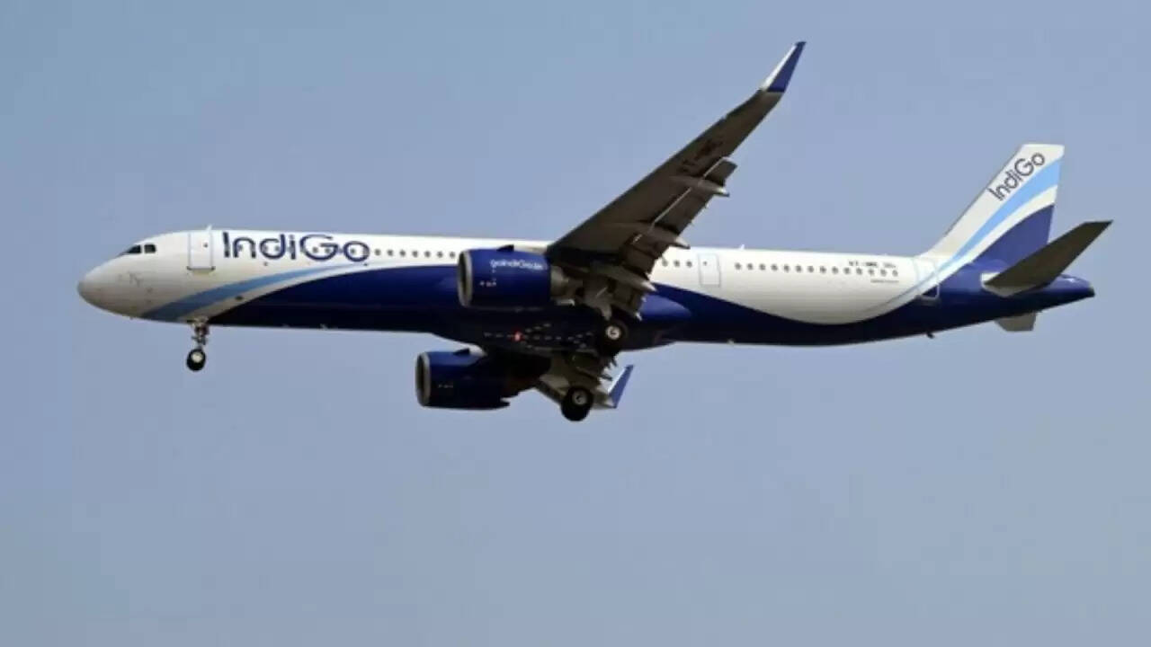 IndiGo की उड़ान में पक्षी टकराने से इमरजेंसी लैंडिंग, सभी यात्री सुरक्षित