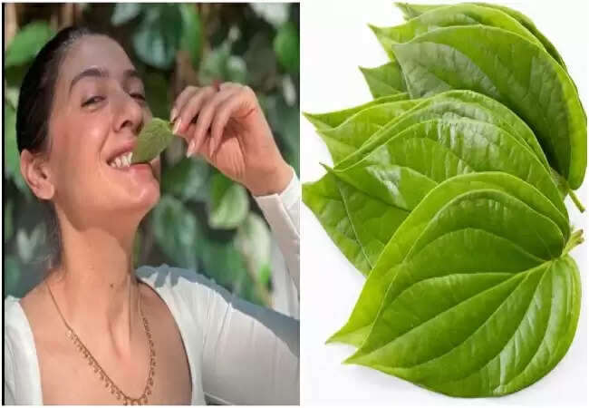 पान के पत्ते के स्वास्थ्य लाभ: जानें कैसे यह आपकी सेहत को बेहतर बनाता है