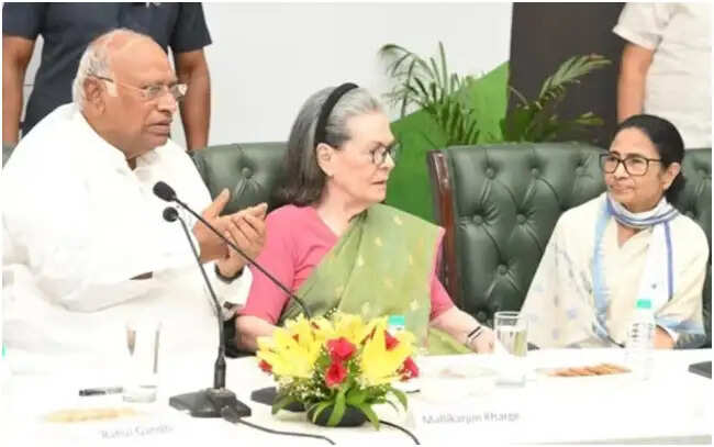 इंडिया गठबंधन की बैठक में मल्लिकार्जुन खड़गे ने उठाए महत्वपूर्ण मुद्दे