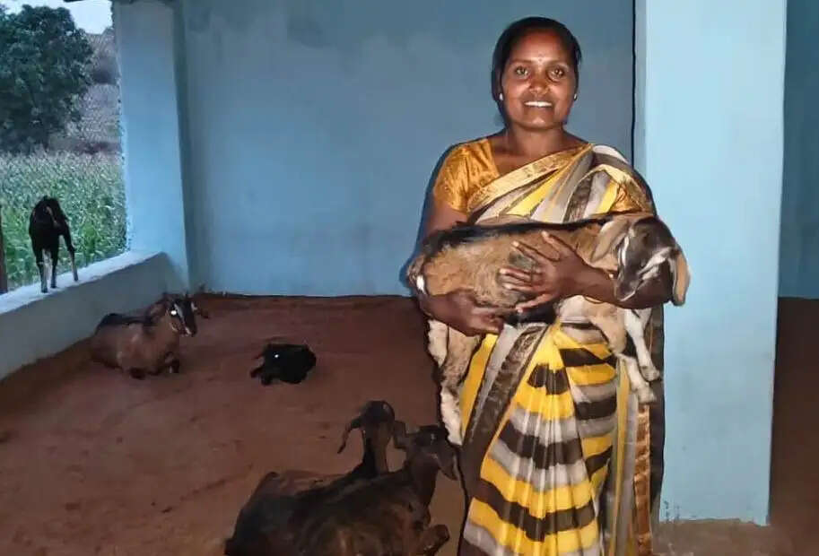 एनआरएलएम : बलरामपुर की सोनमणि बनीं ‘लखपति दीदी’, खेती और पशुपालन से बढ़ाई आय