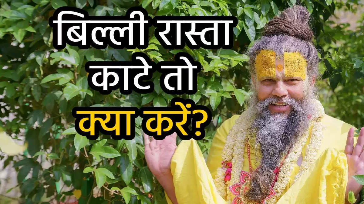 बिल्ली का रास्ता काटना: अंधविश्वास या सच?