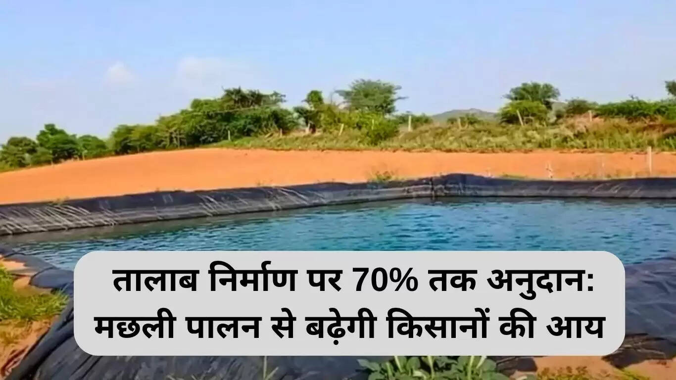 बिहार में तालाब निर्माण पर 70% तक अनुदान: मछली पालन से बढ़ेगी किसानों की आय