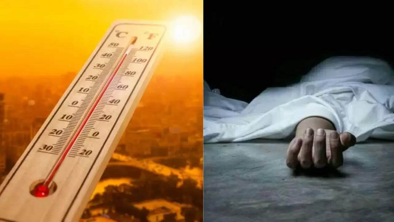 यूरोप में गर्मी की लहर से बढ़ी स्वास्थ्य चिंताएं: 62,700 मौतें