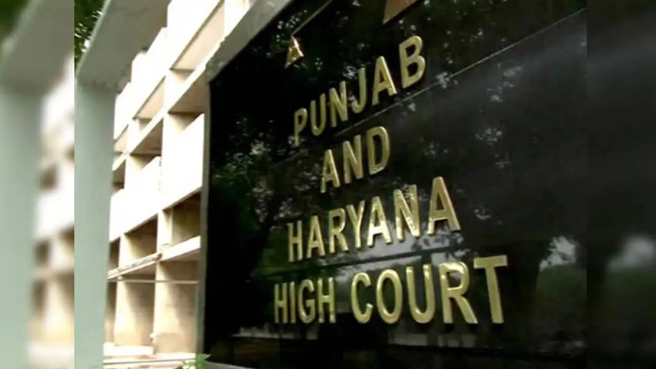 पंजाब और हरियाणा हाईकोर्ट का महत्वपूर्ण आदेश: पति को गुजारा भत्ता देने पर रोक