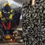 शनिवार को काले तिल के उपाय: शनिदेव की कृपा प्राप्त करें