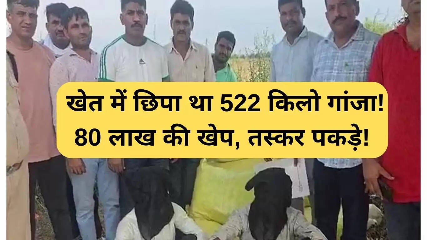 फतेहाबाद में गांजा तस्करी का भंडाफोड़: 522 किलोग्राम गांजा बरामद