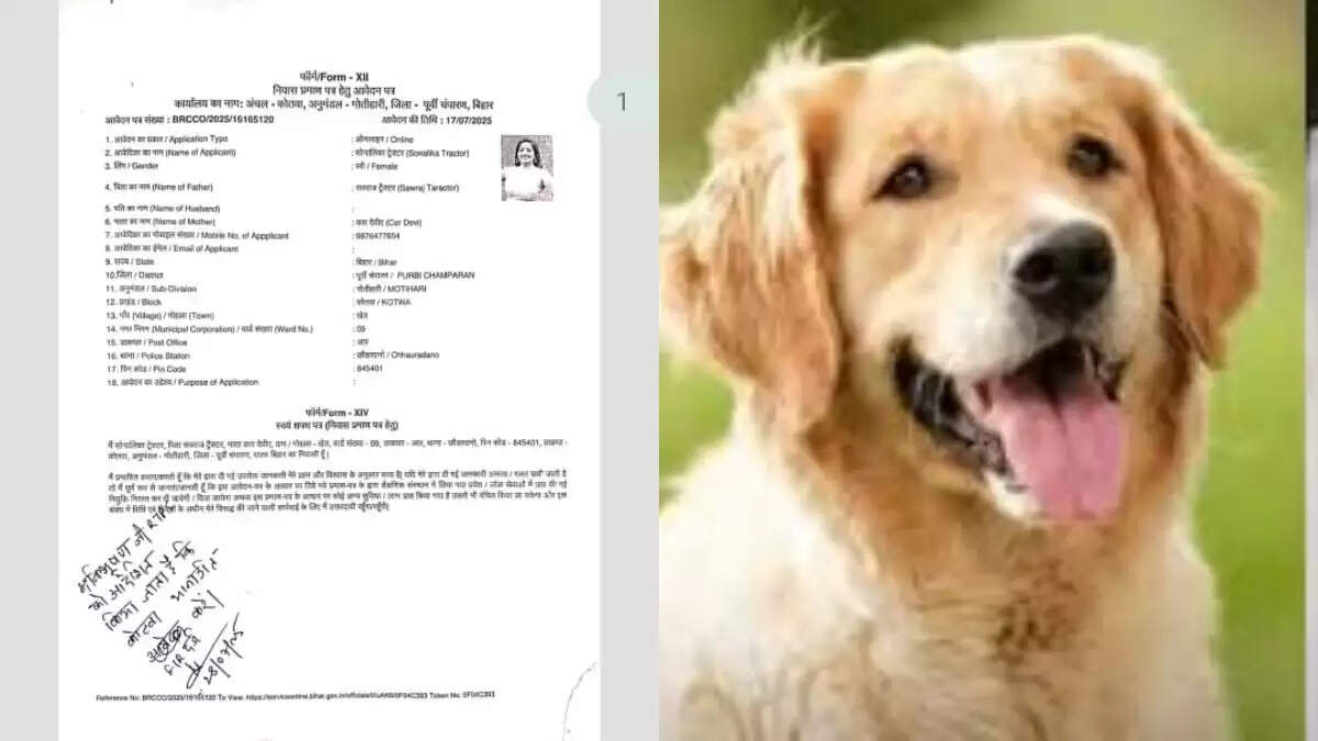 बिहार में फर्जी आवासीय प्रमाण पत्र घोटाला: प्रशासन की कार्यशैली पर उठे सवाल