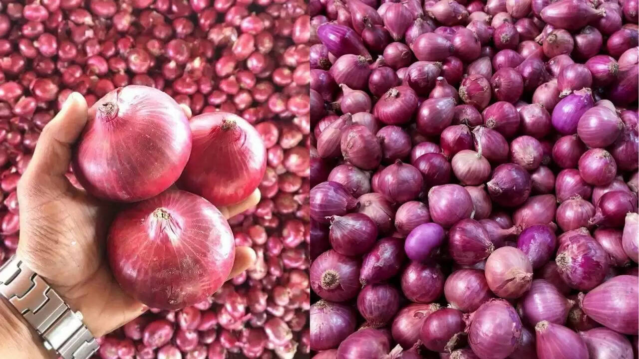 सरकार की प्याज पर सब्सिडी: महंगाई में राहत का कदम