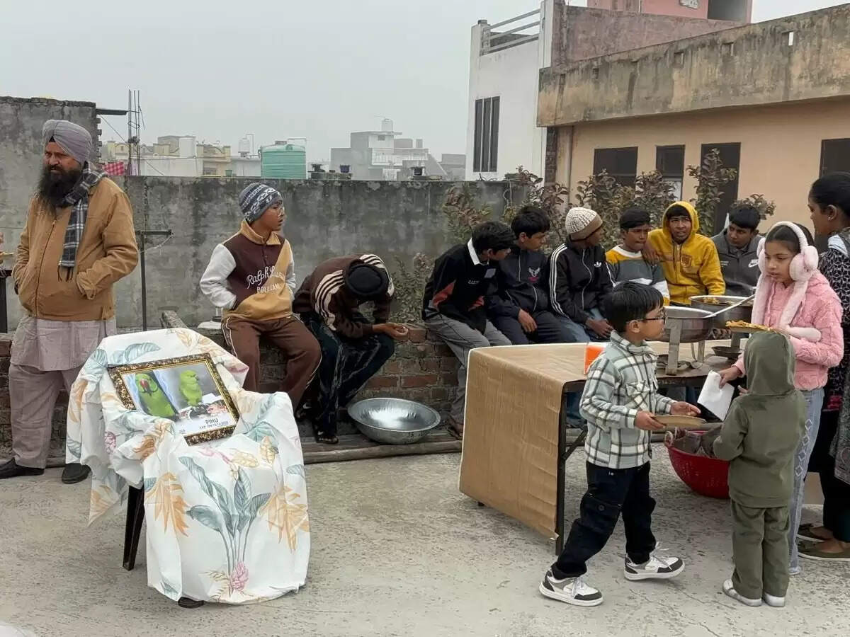 पंजाब में पालतू तोते की मौत पर परिवार ने निभाई इंसानी रस्में
