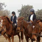 स्वदेशी महोत्सव 2025: पंचकूला में स्वास्थ्य, खेल और संस्कृति का संगम