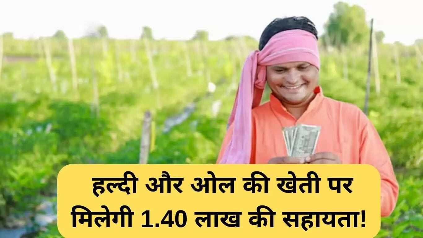 बिहार में किसानों के लिए नई अनुदान योजना: हल्दी और ओल की खेती पर मिलेगी सहायता