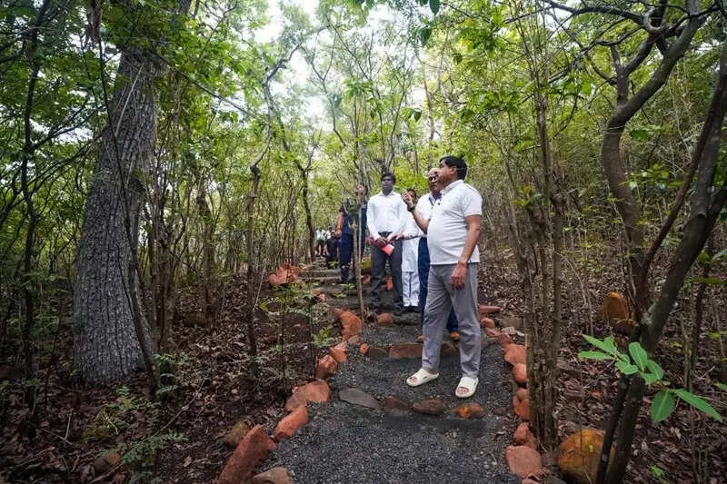 मध्य प्रदेश का नया पर्यटन हॉटस्पॉट बना कुकरू, बादलों, कॉफी बागानों और हरियाली का अनोखा संगम
