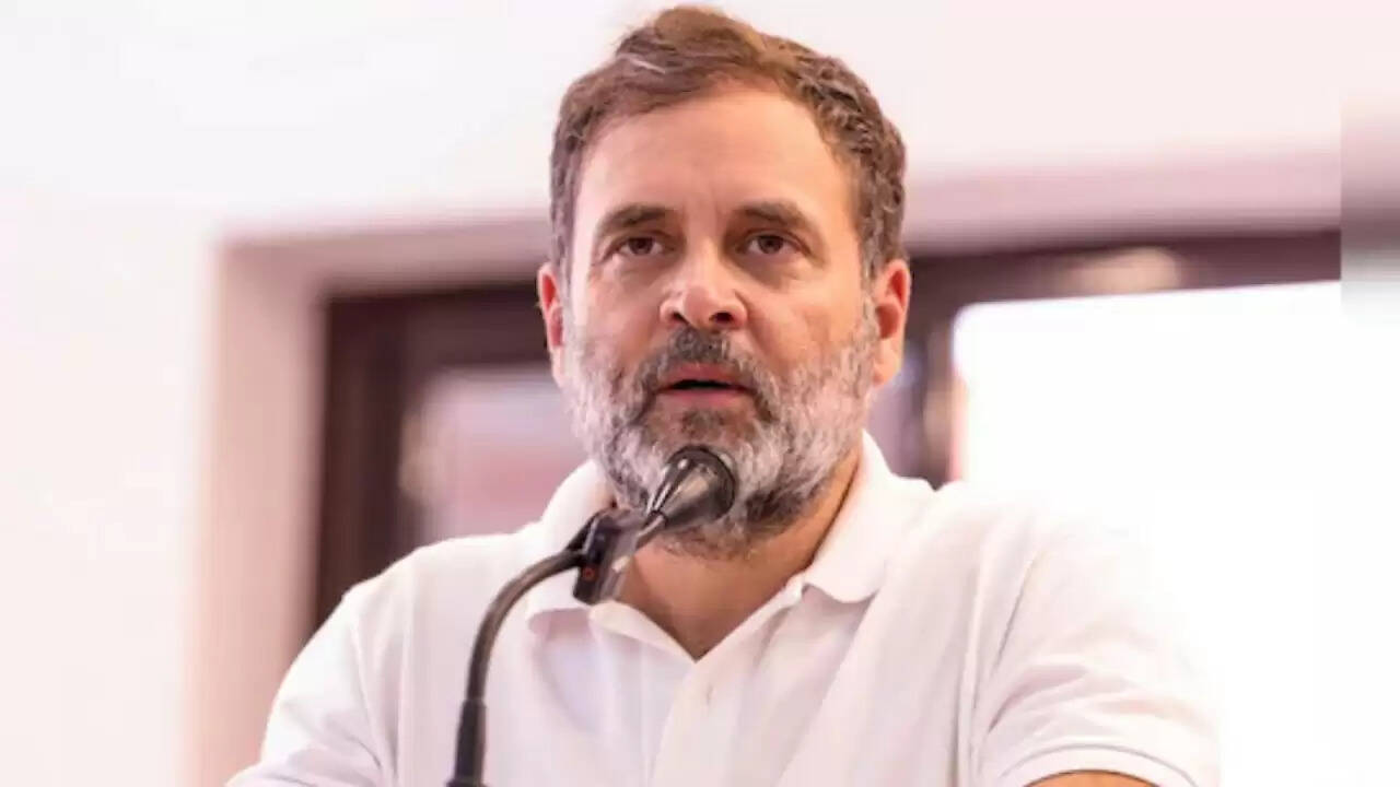 राहुल गांधी का संविधान पर जोर: 'मैं राजा नहीं, बल्कि एक सेवक हूं'