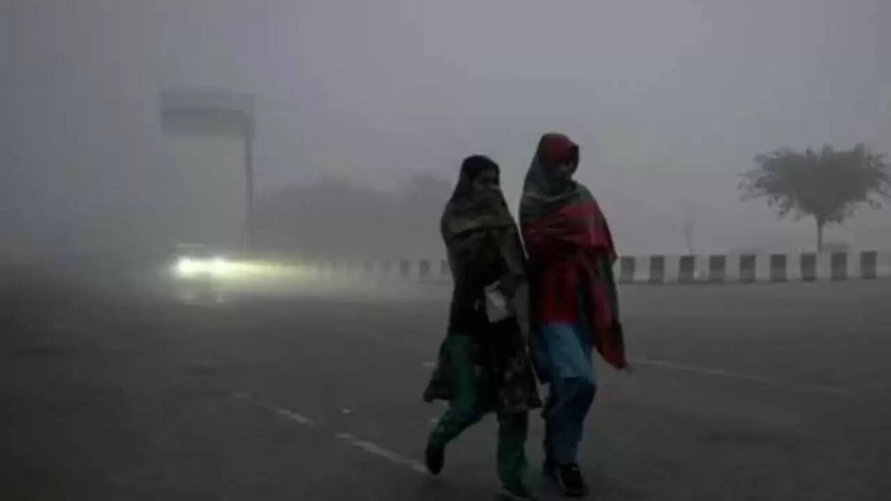 क्या ठंड और कोहरे से राहत मिलेगी? जानिए मौसम विभाग की ताजा रिपोर्ट