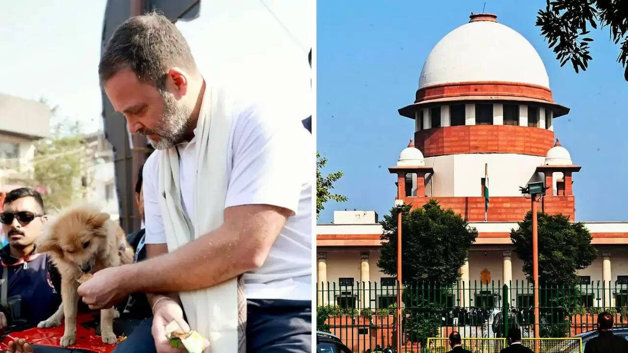 राहुल गांधी का सुप्रीम कोर्ट के आवारा कुत्तों के आदेश पर कड़ा विरोध
