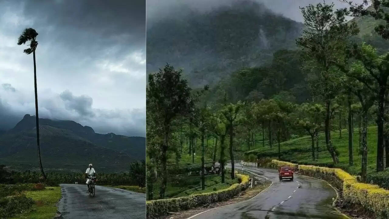मानसून में केरल: एक अद्भुत यात्रा का अनुभव