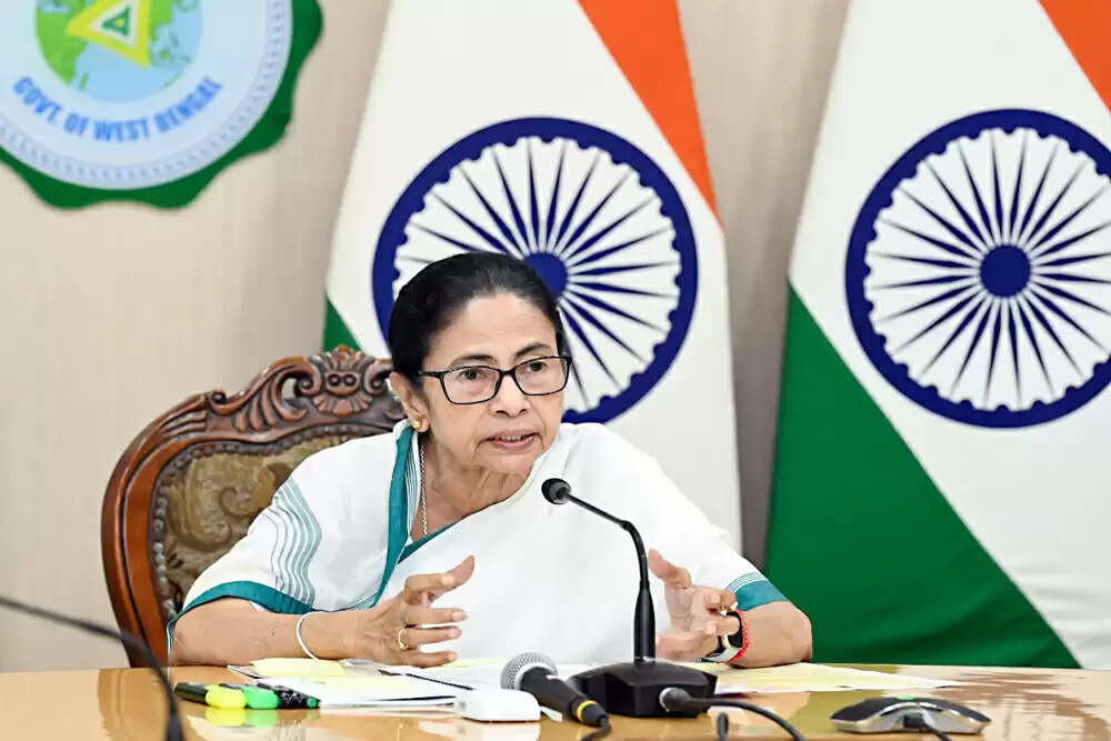 ममता बनर्जी का असम सरकार पर हमला, घुसपैठिया बताने का आरोप