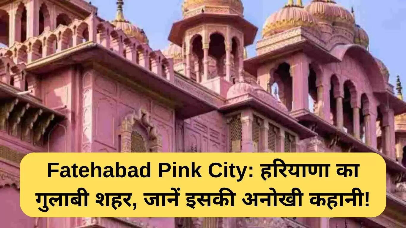 फतेहाबाद: हरियाणा का गुलाबी शहर और इसकी अनोखी कहानी
